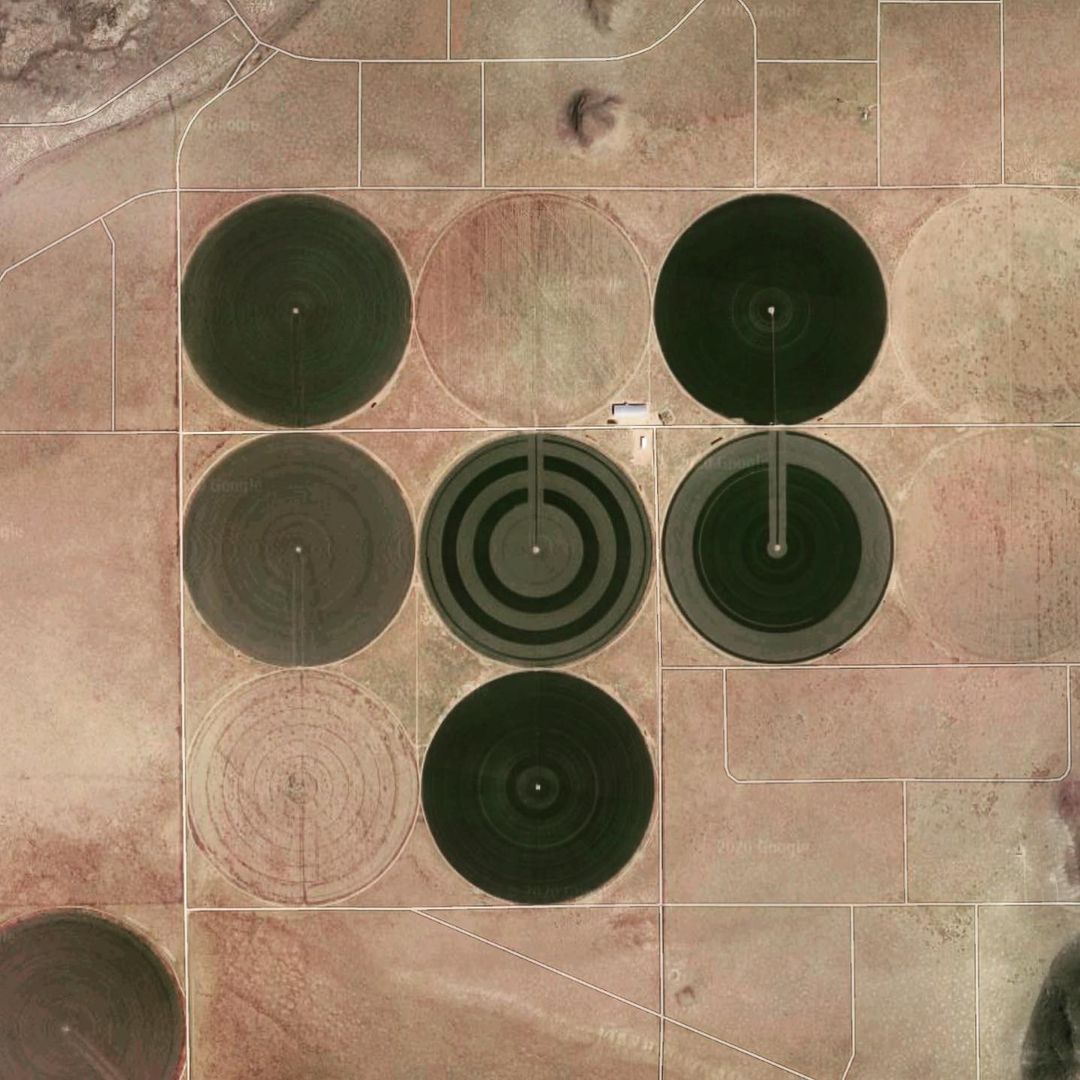 133709133_2874793089427942_4399684552515408067_n.jpg 133709133_2874793089427942_4399684552515408067_n.jpg